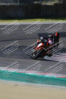 media/Mar-17-2024-Fastrack Riders (Sun) [[c7d6f8c14c]]/Level 3/Turn 6/